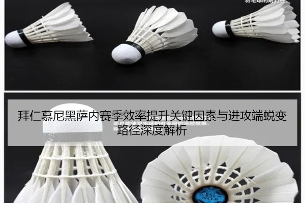 拜仁慕尼黑萨内赛季效率提升关键因素与进攻端蜕变路径深度解析