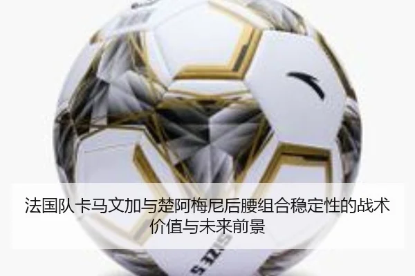 法国队卡马文加与楚阿梅尼后腰组合稳定性的战术价值与未来前景